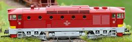 Limitovaný model ,,BREJLOVCE"  T478 3187 ČSD (TT)