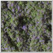 Květinový koberec - fialová / zelená