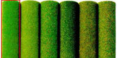 Půdní koberec-tmavě zelený