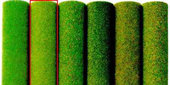 Půdní koberec-jarní zelená