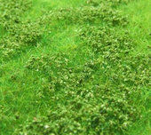 Křoviny nízké jarní - řada Premium