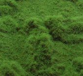 Lesní tráva - krátká - zelená travní