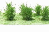 Nízké keře - mikro listí - zelená osiková