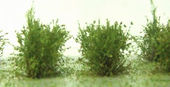 Nízké keře - jemné listí - zelená břízová