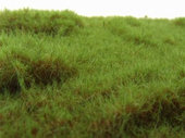 Lesní tráva dlouhá - Zelená střední