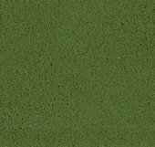 Purex - mikro - zelená listová