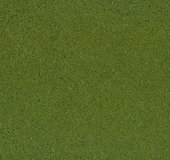 Purex - jemný - zelená kapradina