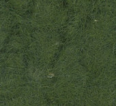 Statická tráva - dlouhá - zelená lesní