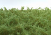 Vysoká tráva - zelená tmavá