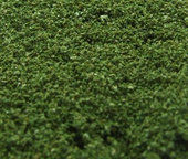 Naturex - střední - zelená střední