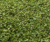 Naturex - střední - zelená světlá