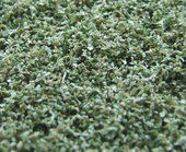 Naturex - jemný - zelená vrbová