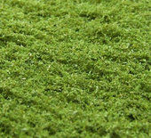 Naturex - mikro - zelená osiková