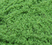 Sitdekor - zelená listová