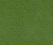 Statická tráva - jemná - zelená travní
