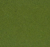 Purex - jemný - zelená kapradina
