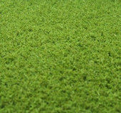 Pastviny střední - zelená světlá