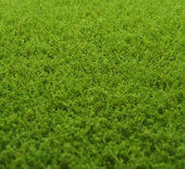 Pastviny jemné - zelená tmavá