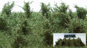 Vysoké keře - zelená vrbová - střední listí