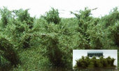 Vysoké keře - zelená osiková - střední listí