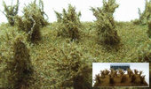 Vysoké keře - okr - jemné listí