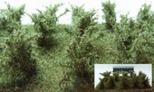 Vysoké keře - zelená vrbová - jemné listí