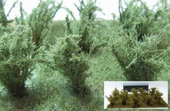 Vysoké keře - zelená savana - jemné listí