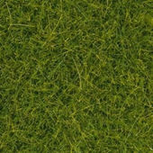 Divoká tráva XL - jasně zelená