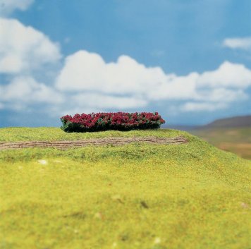 Živý plot červeně kvetoucí, 4 ks - PREMIUM