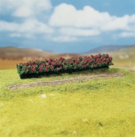 Živý plot, červeně kvetoucí, 3 ks - PREMIUM