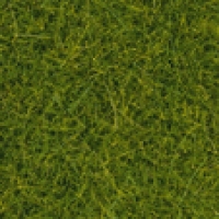Travní koberec - jarní louka