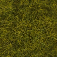 Travní koberec - louka