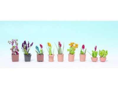 TT - Okrasné rostliny v malých květináčích