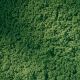 Travnatý koberec,listová zeleň,15x25 cm